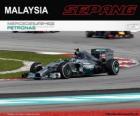 Нико Росберг - Mercedes - Гран Гран-при Малайзии 2014, классифицируются
